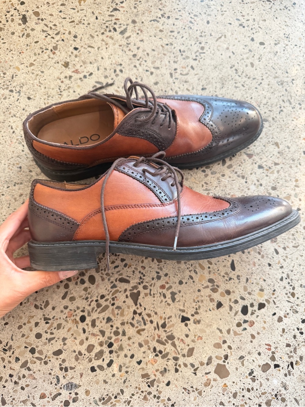 ALDO Men's Brown and Tan Wingtip Derby Oxfords